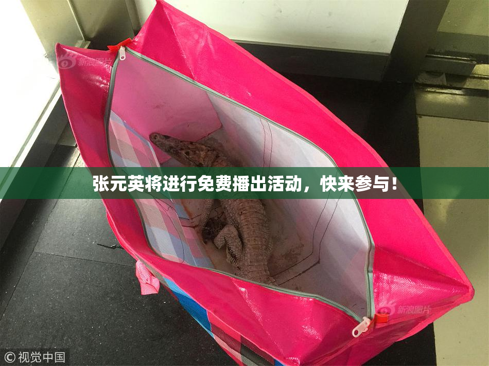 张元英将进行免费播出活动，快来参与！