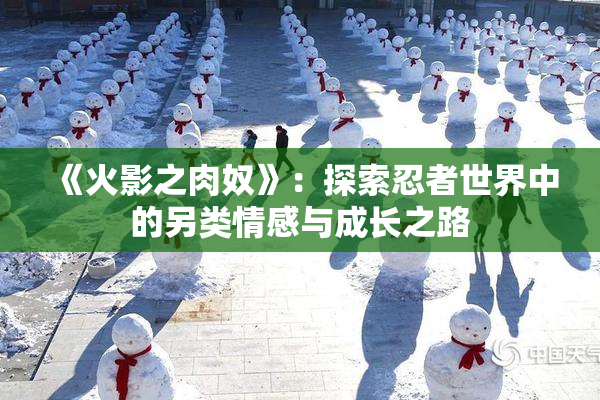 《火影之肉奴》：探索忍者世界中的另类情感与成长之路