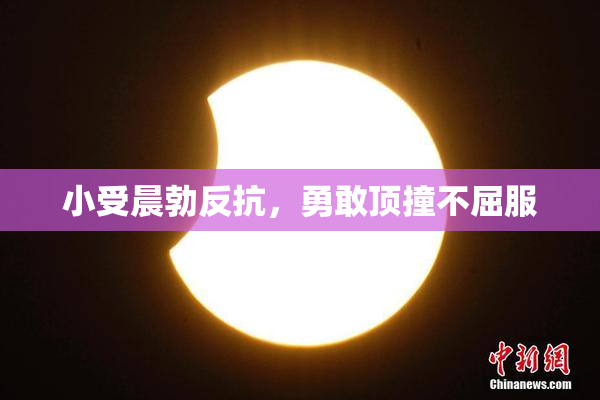 小受晨勃反抗，勇敢顶撞不屈服