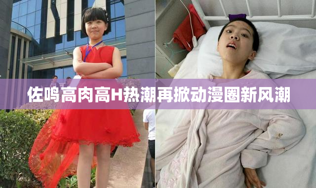佐鸣高肉高H热潮再掀动漫圈新风潮