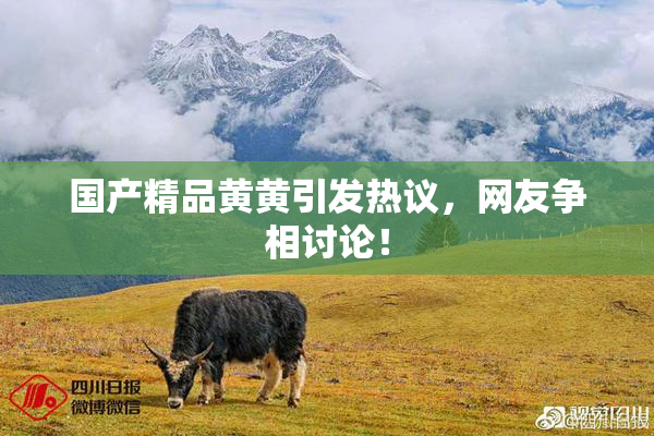 国产精品黄黄引发热议，网友争相讨论！