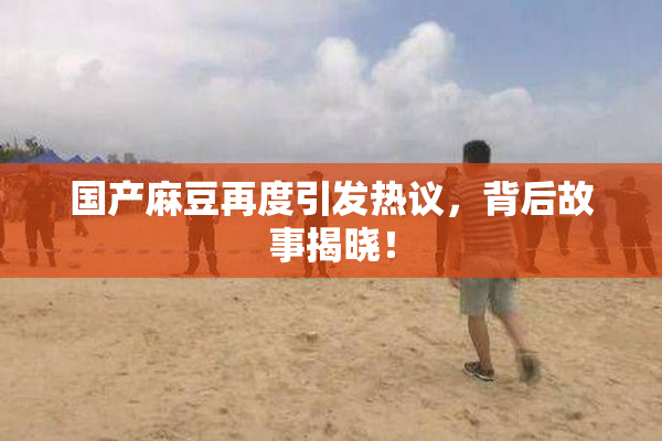 国产麻豆再度引发热议，背后故事揭晓！