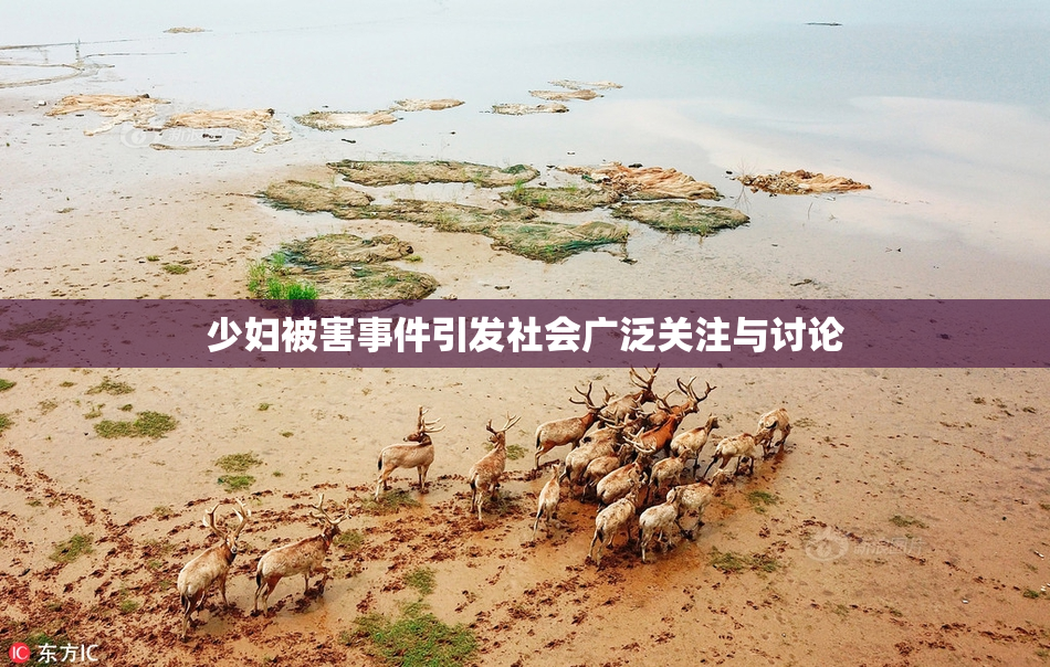 少妇被害事件引发社会广泛关注与讨论