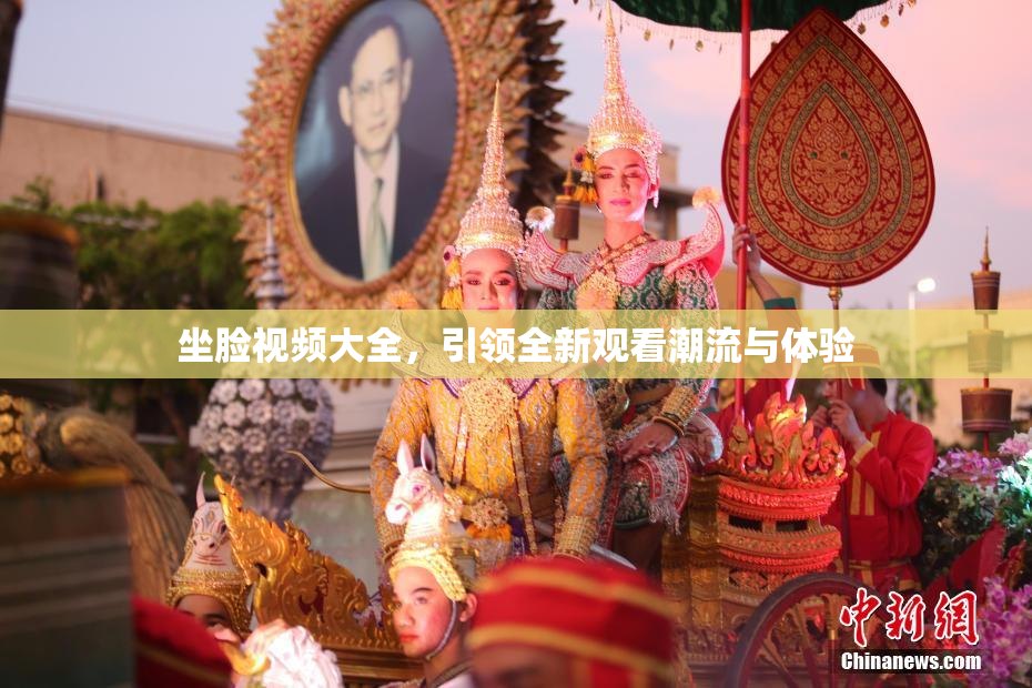 坐脸视频大全，引领全新观看潮流与体验