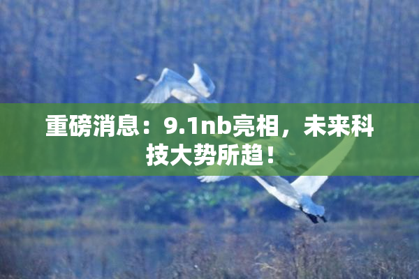重磅消息：9.1nb亮相，未来科技大势所趋！