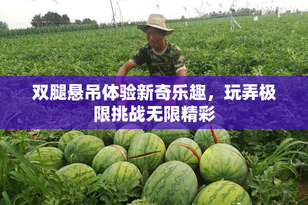 双腿悬吊体验新奇乐趣，玩弄极限挑战无限精彩
