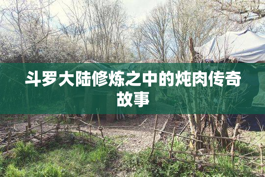 斗罗大陆修炼之中的炖肉传奇故事