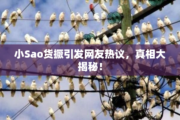 小Sao货撅引发网友热议，真相大揭秘！
