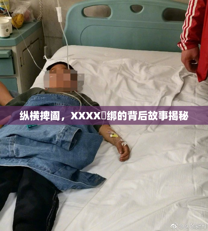纵横捭阖，XXXX秵绑的背后故事揭秘