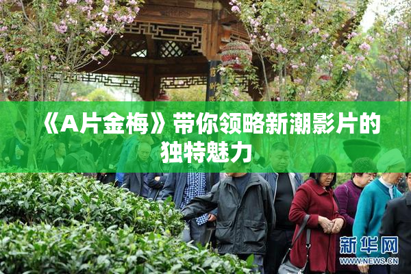 《A片金梅》带你领略新潮影片的独特魅力