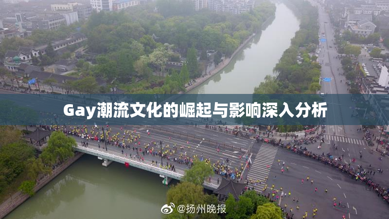 Gay潮流文化的崛起与影响深入分析
