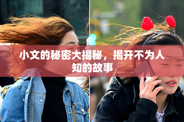 小文的秘密大揭秘，揭开不为人知的故事