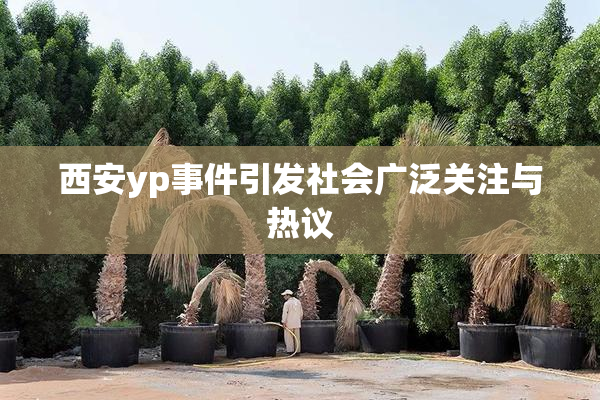 西安yp事件引发社会广泛关注与热议