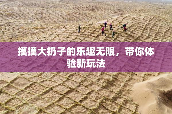 摸摸大扔子的乐趣无限，带你体验新玩法