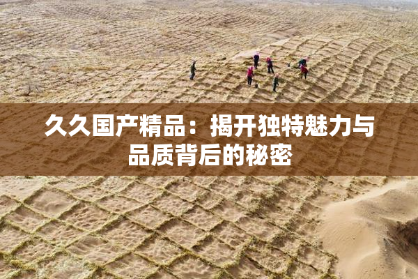 久久国产精品：揭开独特魅力与品质背后的秘密