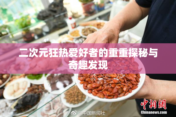 二次元狂热爱好者的重重探秘与奇趣发现
