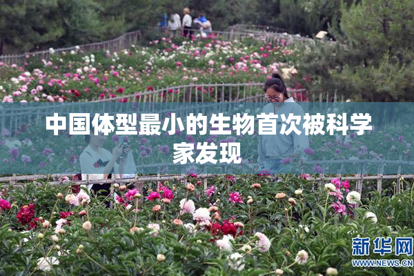 中国体型最小的生物首次被科学家发现