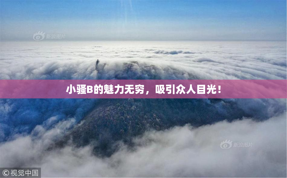 小骚B的魅力无穷，吸引众人目光！