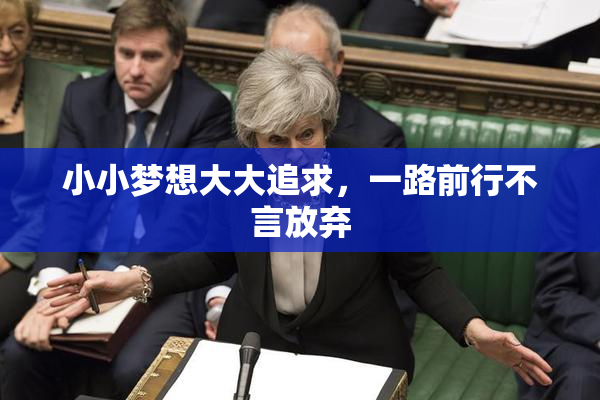 小小梦想大大追求，一路前行不言放弃
