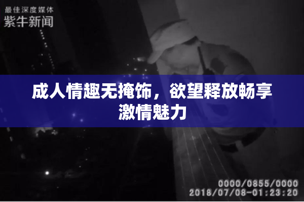 成人情趣无掩饰，欲望释放畅享激情魅力