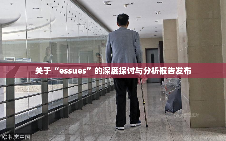 关于“essues”的深度探讨与分析报告发布