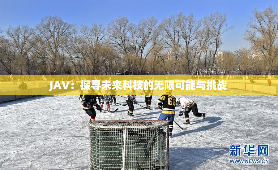 JAV：探寻未来科技的无限可能与挑战