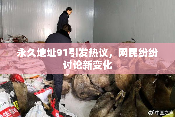 永久地址91引发热议，网民纷纷讨论新变化