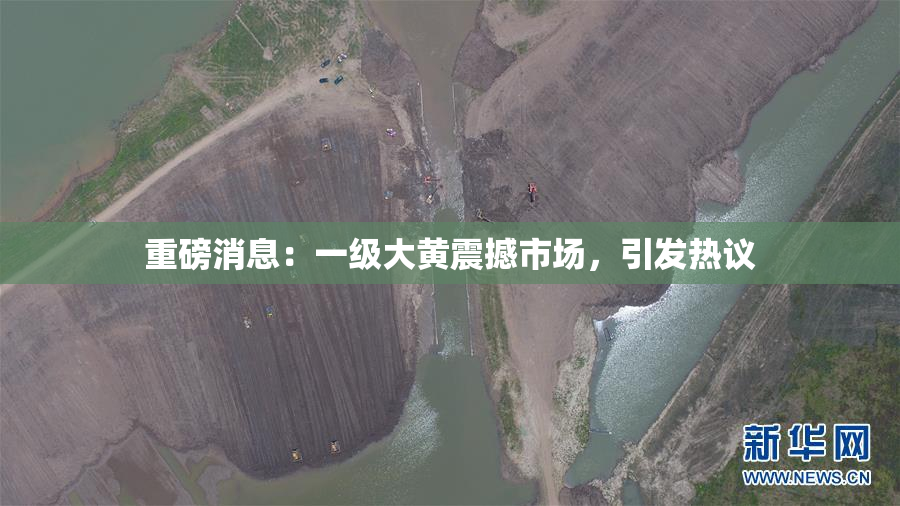 重磅消息：一级大黄震撼市场，引发热议