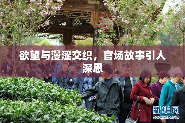欲望与漫涩交织，官场故事引人深思