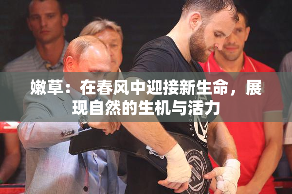 嫩草：在春风中迎接新生命，展现自然的生机与活力