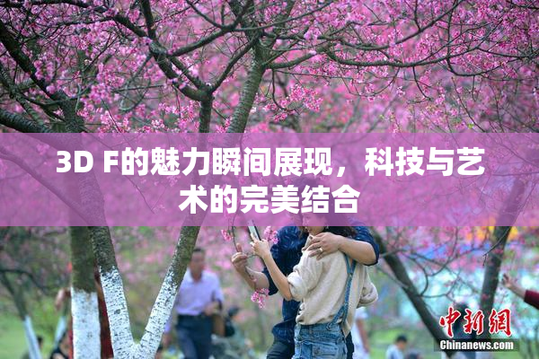 3D F的魅力瞬间展现，科技与艺术的完美结合