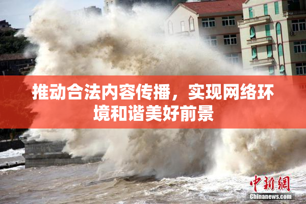 推动合法内容传播，实现网络环境和谐美好前景