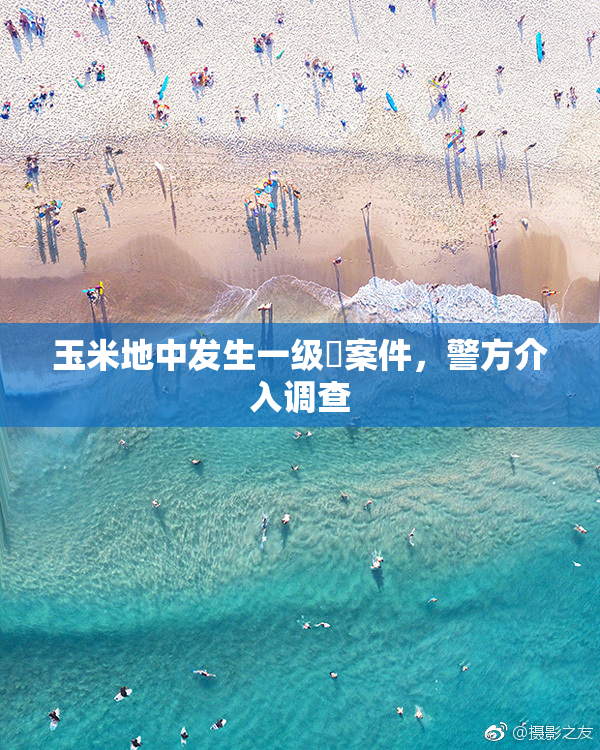 玉米地中发生一级婬案件，警方介入调查