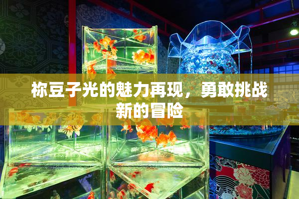 祢豆子光的魅力再现，勇敢挑战新的冒险