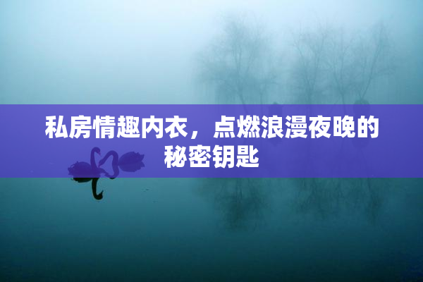 私房情趣内衣，点燃浪漫夜晚的秘密钥匙