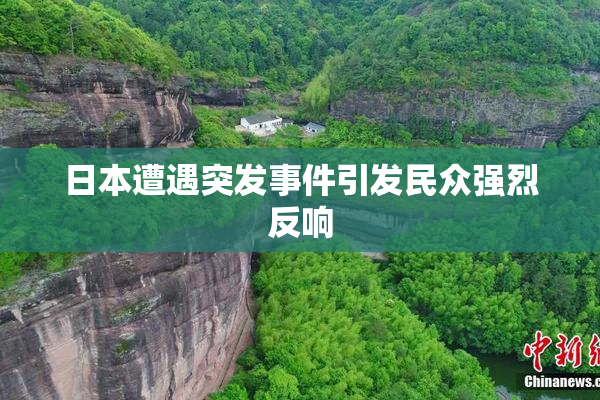 日本遭遇突发事件引发民众强烈反响