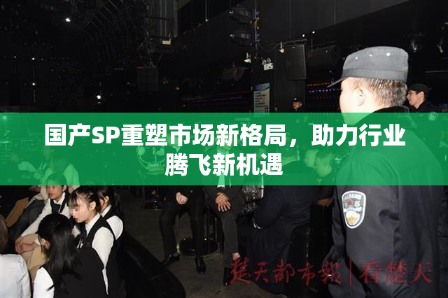国产SP重塑市场新格局，助力行业腾飞新机遇