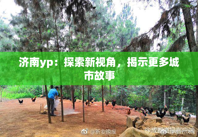 济南yp：探索新视角，揭示更多城市故事