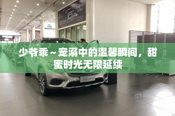 少爷乖～宠溺中的温馨瞬间，甜蜜时光无限延续