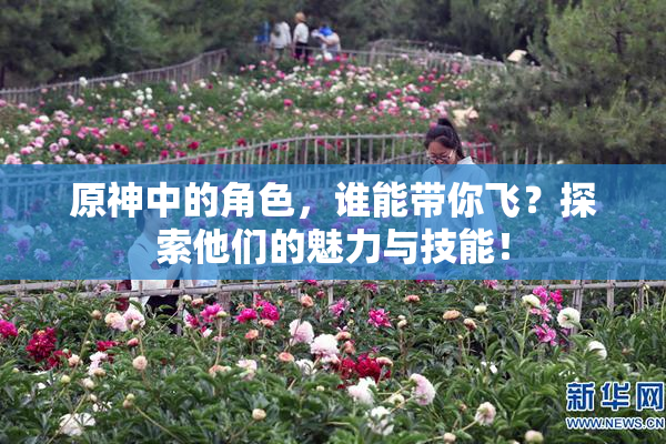 原神中的角色，谁能带你飞？探索他们的魅力与技能！