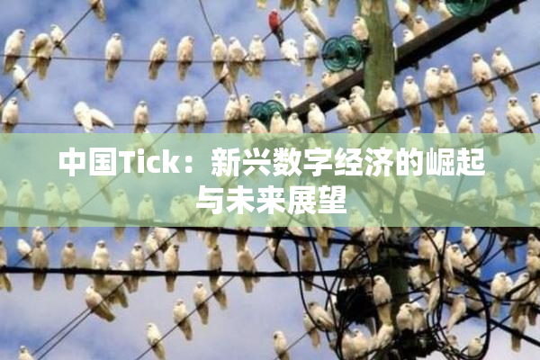 中国Tick：新兴数字经济的崛起与未来展望