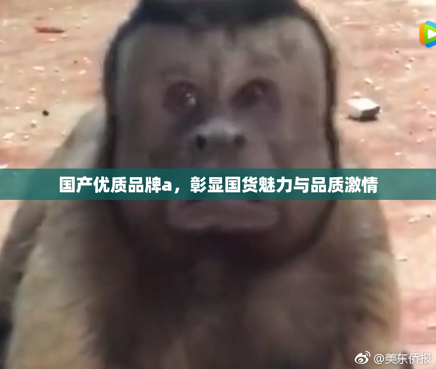 国产优质品牌a，彰显国货魅力与品质激情