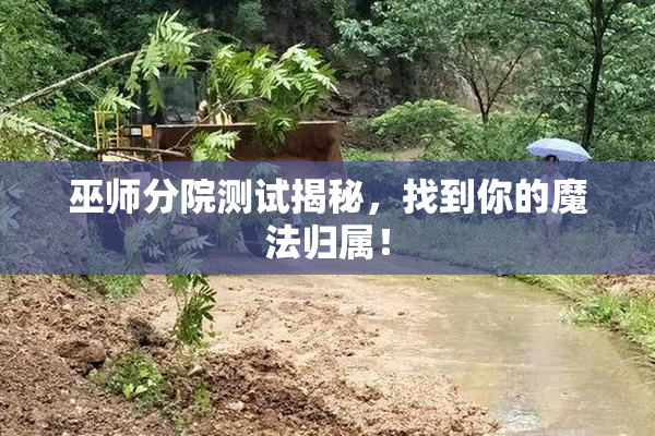 巫师分院测试揭秘，找到你的魔法归属！