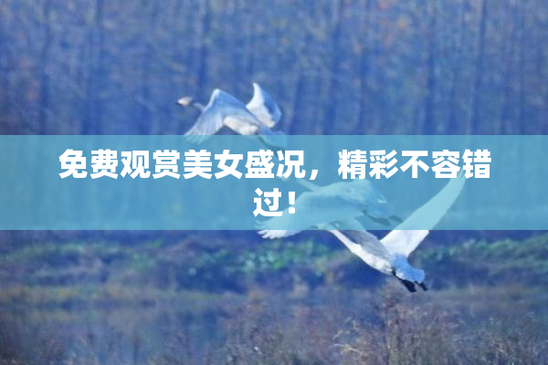 免费观赏美女盛况，精彩不容错过！