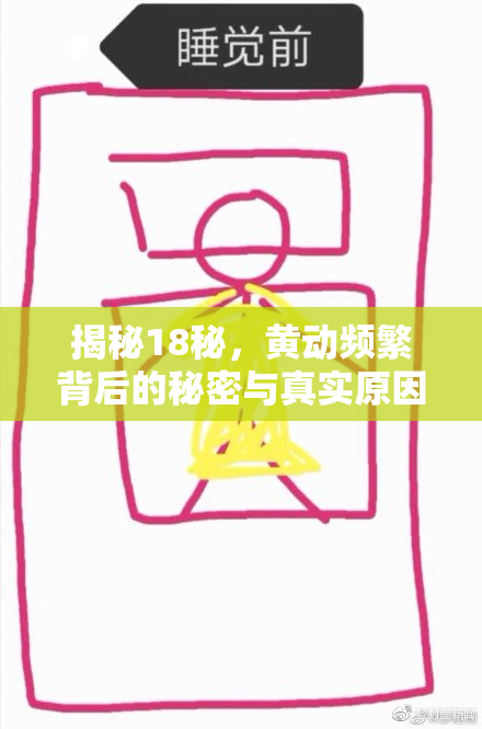 揭秘18秘，黄动频繁背后的秘密与真实原因分析