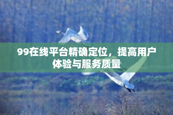 99在线平台精确定位，提高用户体验与服务质量