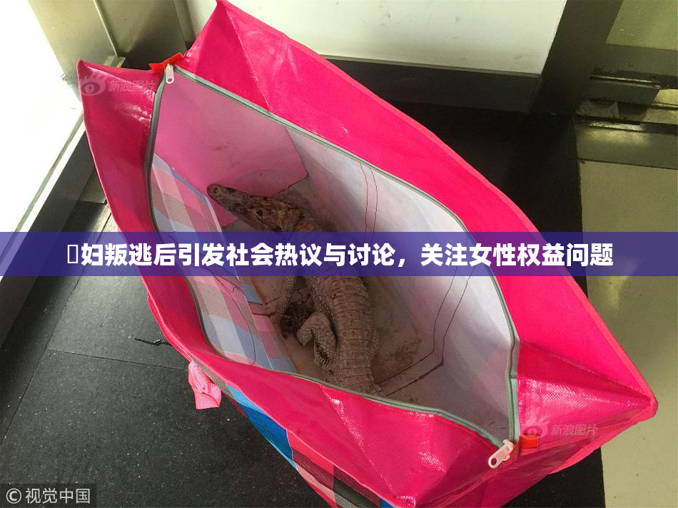婬妇叛逃后引发社会热议与讨论，关注女性权益问题