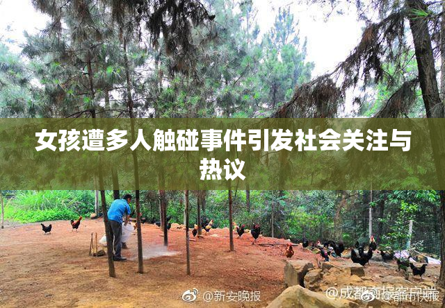 女孩遭多人触碰事件引发社会关注与热议