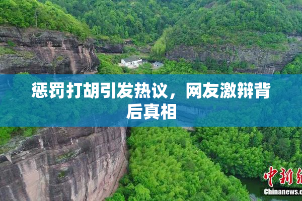 惩罚打胡引发热议，网友激辩背后真相