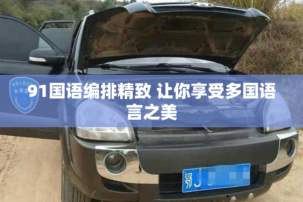 91国语编排精致 让你享受多国语言之美